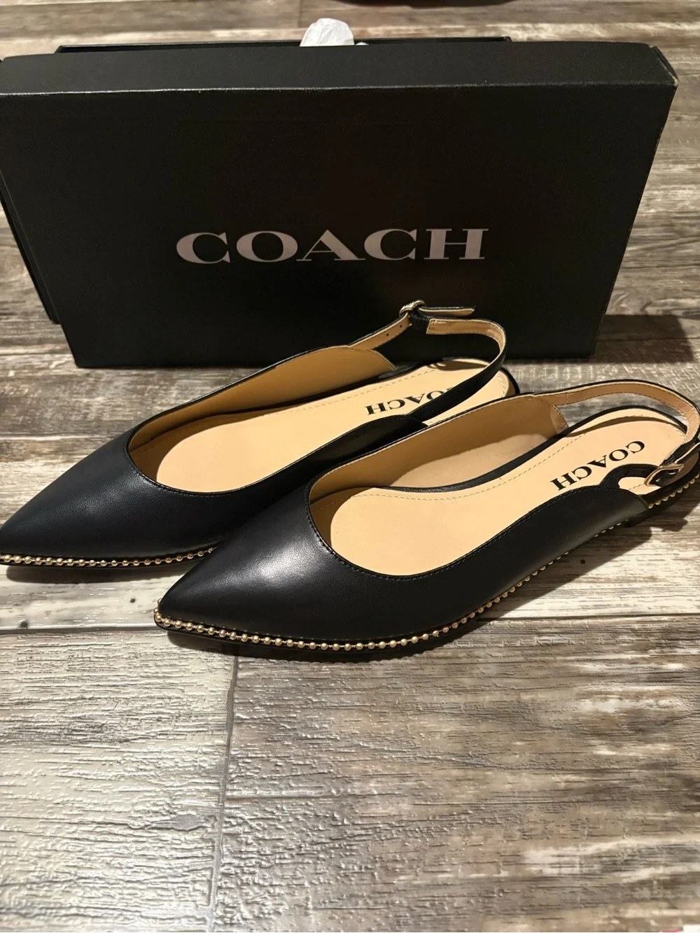 Coach Vae Skimmer Slingback Flat Sandals with Pointed Toe